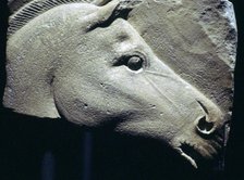 Egyptian relief of a horse's head. Artist: Unknown