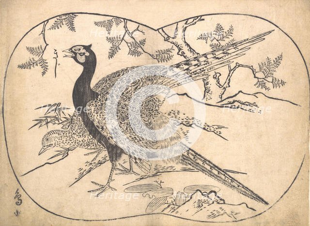 Pheasants. Creator: Hishikawa Moronobu.