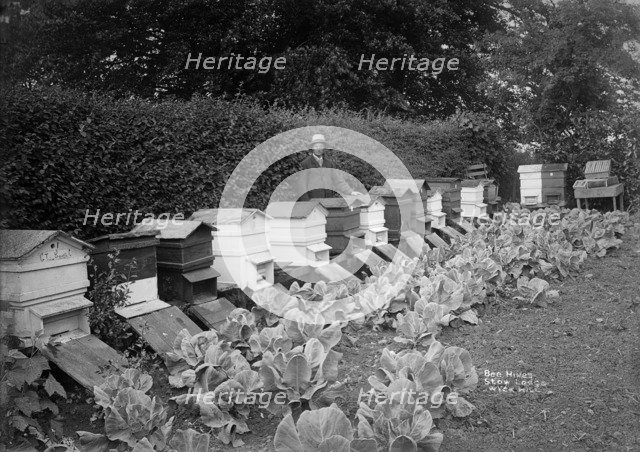 The garden of Stow Lodge, Wyck Hill, Wick Rissington, Gloucestershire, 1908. Artist: Alfred Newton & Sons