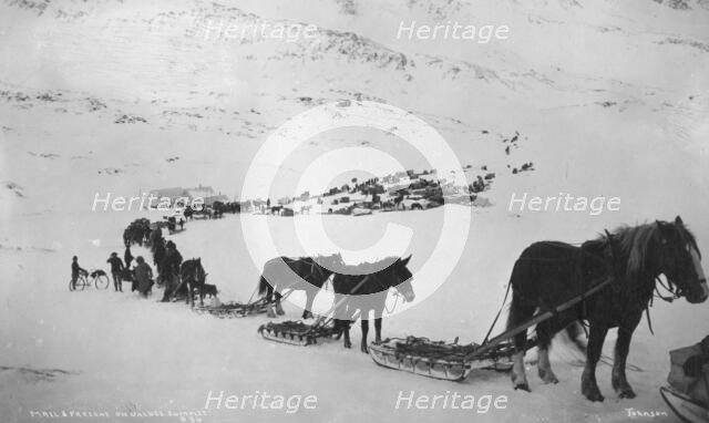 Transportation with horses, mules, dogs and bicycle, between c1900 and 1927. Creator: Unknown.