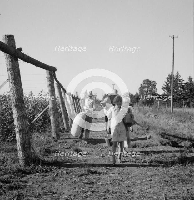Untitled, between 1935 and 1942. Creator: Dorothea Lange.