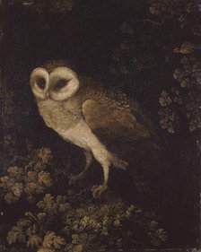 An Owl, 1780-1790. Creator: Moses Haughton.