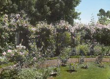 "Senuelo," Edward Ditmars Wetmore house, Fairway Road, Montecito, California, 1917. Creator: Frances Benjamin Johnston.