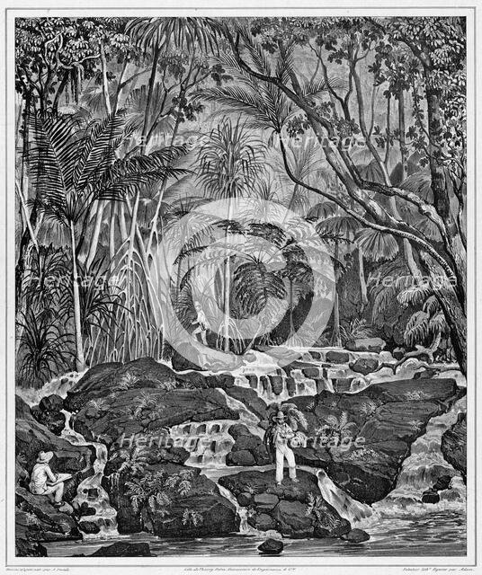 View of the Interior of Peel Island, Bonin Islands, 19th century. Creators: Alexander Postels, Victor Adam, Godefroy Engelmann.