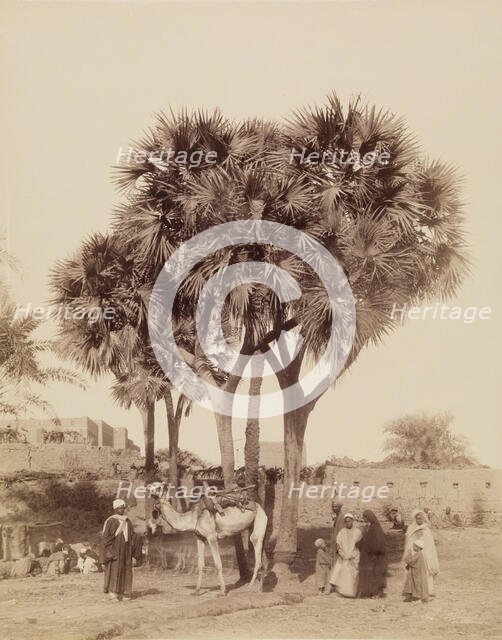 View of an Egyptian Village, 19th century. Creator: Anon.