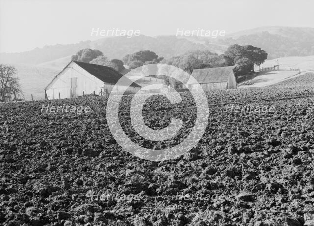 Stock ranch and plowed field, Contra Costa County, California, 1938. Creator: Dorothea Lange.