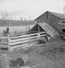 Farm buildings, slab construction, on new stump farm. Boundary County, Idaho, 1939. Creator: Dorothea Lange.