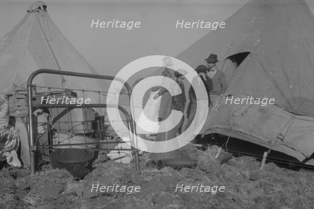 Possibly: Setting up a tent in the camp for white flood refugees, Forrest City, Arkansas, 1937. Creator: Walker Evans.