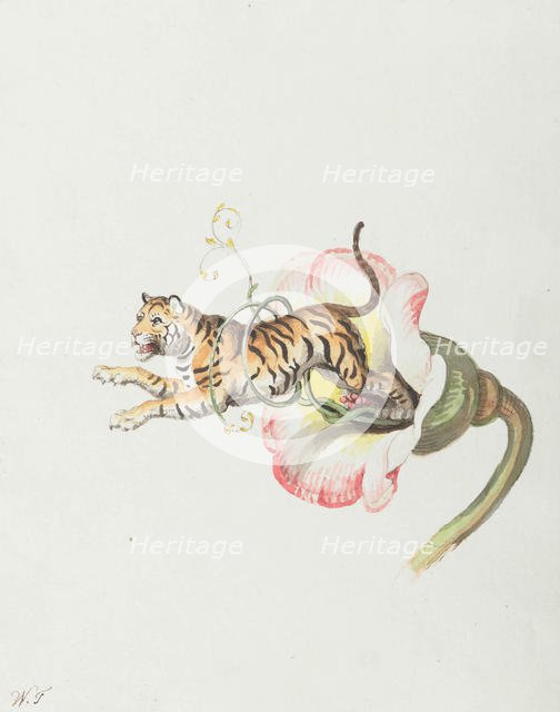 Tiger jumping from a flower crown. Allegory on flower seeds, 1817. Creator: Tischbein, Johann Heinrich Wilhelm (1751-1829).