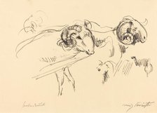 Schafböcke (Rams), 1912. Creator: Lovis Corinth.