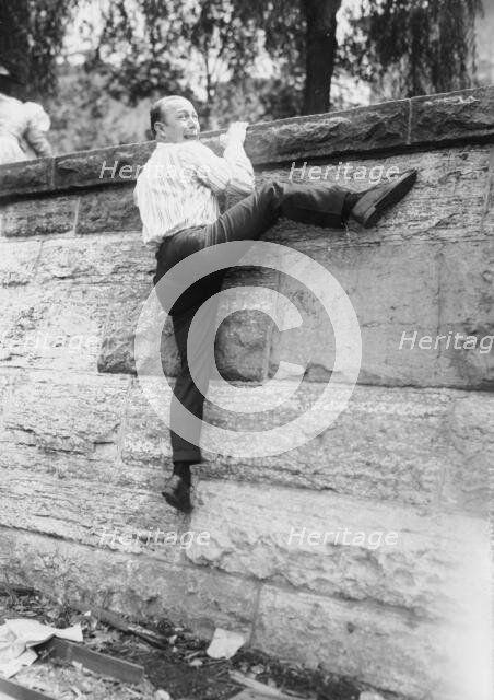 Hare, between c1915 and c1920. Creator: Bain News Service.