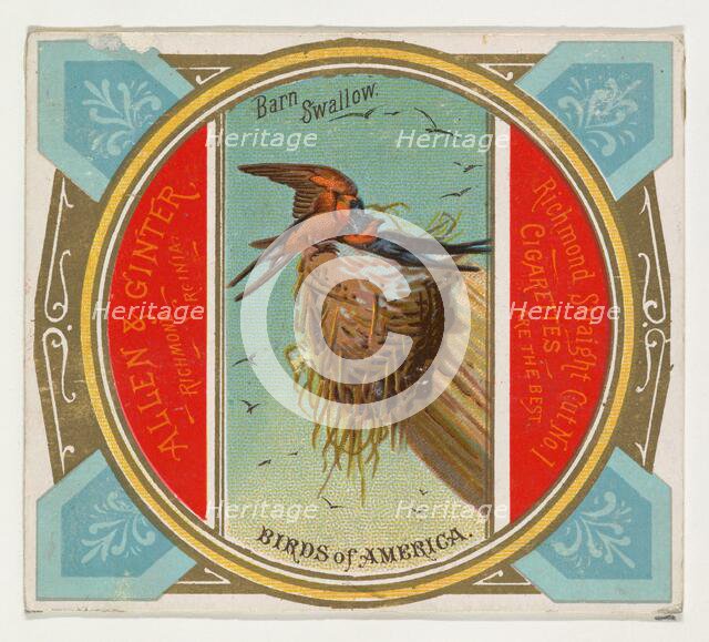 Barn Swallow, from the Birds of America series (N37) for Allen & Ginter Cigarettes, 1888. Creator: Allen & Ginter.