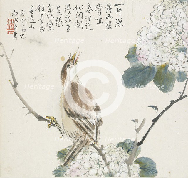 A Chinese Hwamei, 1857. Artist: Jin Yuan.