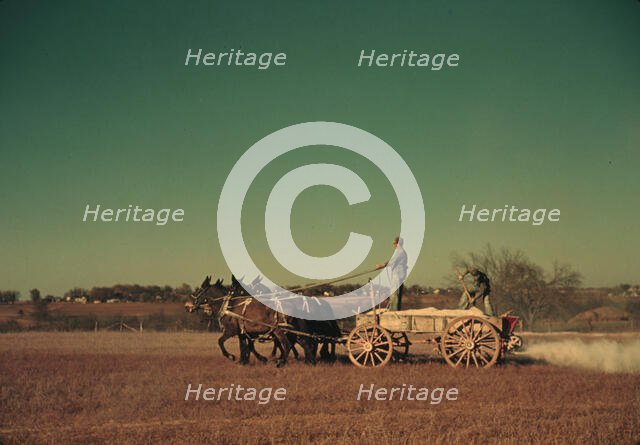 Spreading fertilizer from 4-mule team wagon, Georgia, ca. 1940. Creator: Marion Post Wolcott.