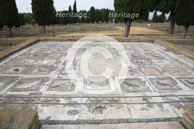 A mosaic in House 4, Italica, Spain, 2007. Artist: Samuel Magal