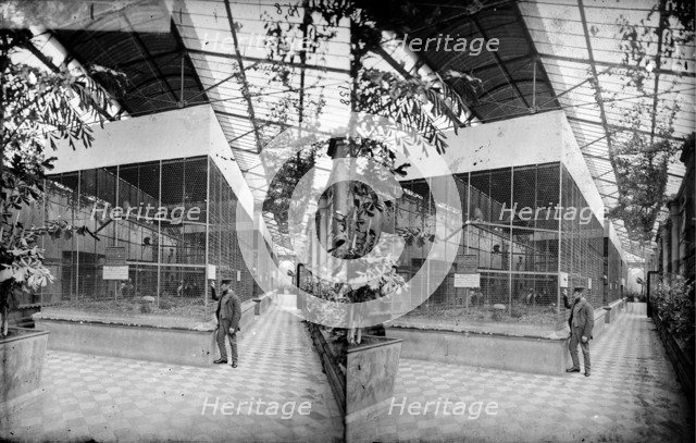 Monkey House, Zoological Gardens, Regent's Park, Westminster, London, c1870-1900. Artist: York & Son