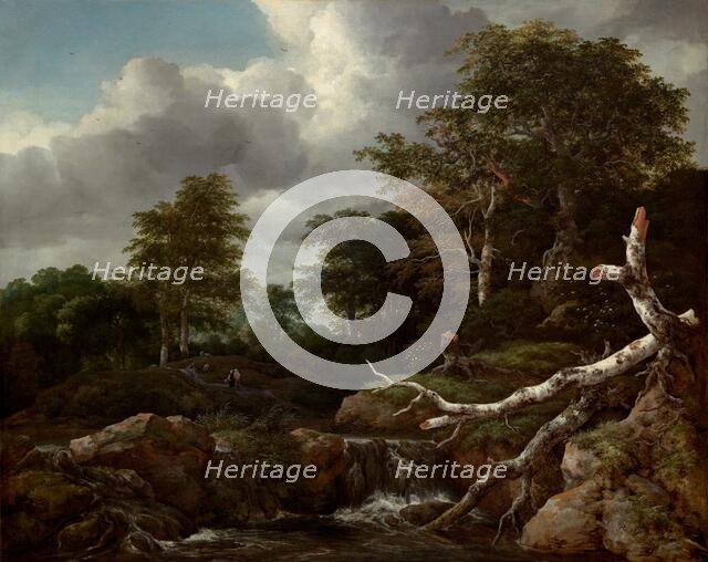 Forest Scene, c. 1655. Creator: Jacob van Ruisdael.