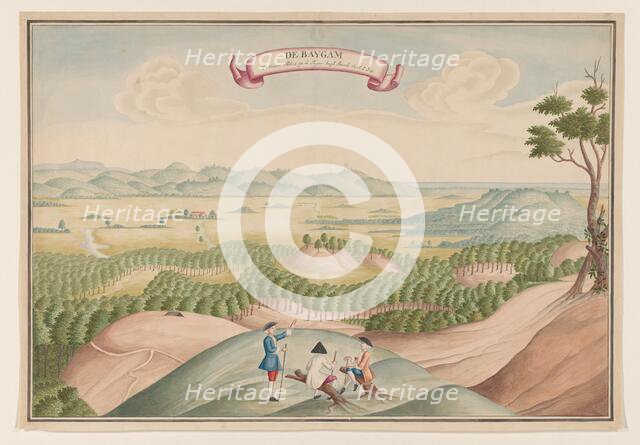 View of the Pepper Plantation in the Baygam Area, c.1750. Creator: Anon.