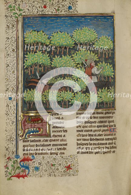 Hunters Training Dogs to Track a Quarry; Livre de la Chasse, about 1430-1440. Creator: Unknown.