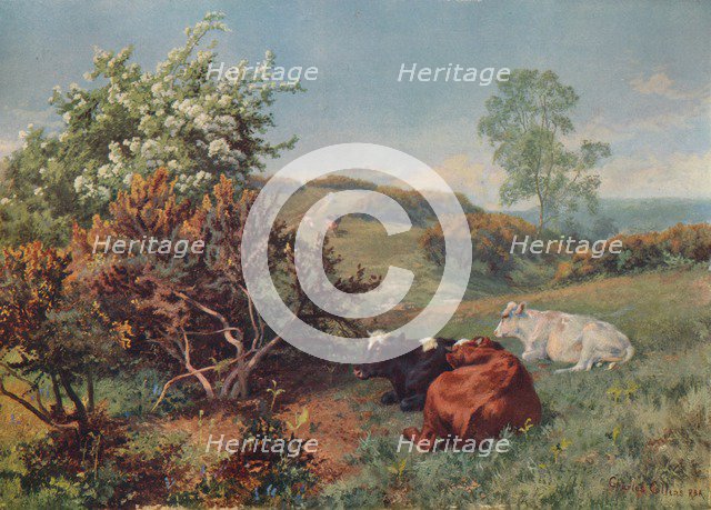 'Landscape with Cattle (In the Nower, Dorking)', c1899. Artist: Charles Collins.