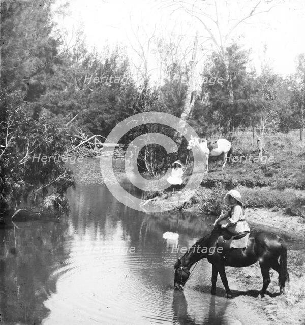 Ladies giving their horses a drink, c1900s. Creator: Robert Augustus Henry L'Estrange.