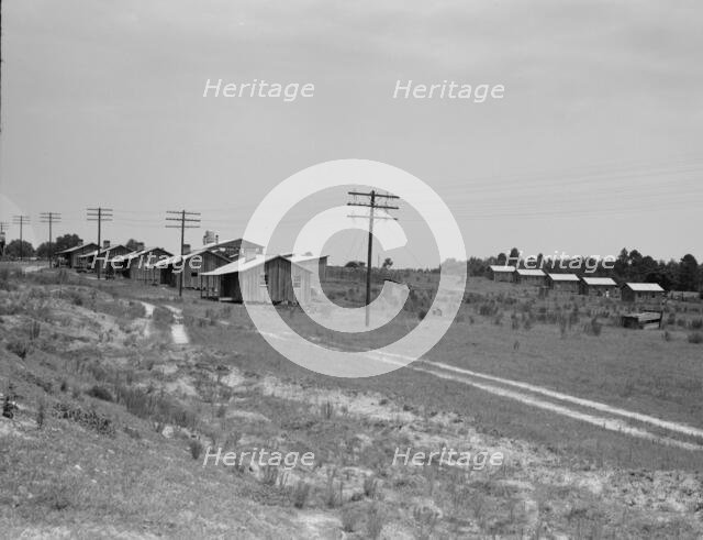 Turpentine camp, Godwinsville, Georgia, 1937. Creator: Dorothea Lange.
