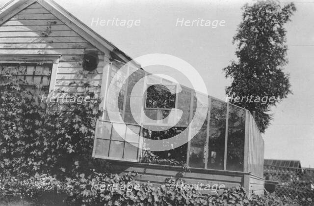 Mrs. Frank Clark's green house, between c1900 and 1916. Creator: Unknown.
