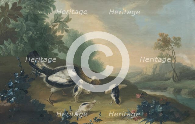 Landscape with Poultry, c18th century. Creator: Unknown.