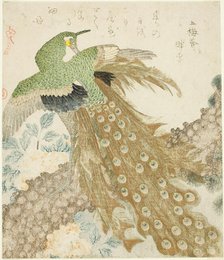 Peacock, Pine Tree, and Peonies, from the series "A Set of Three Petals..., Japan, 1810s. Creator: Kubo Shunman.