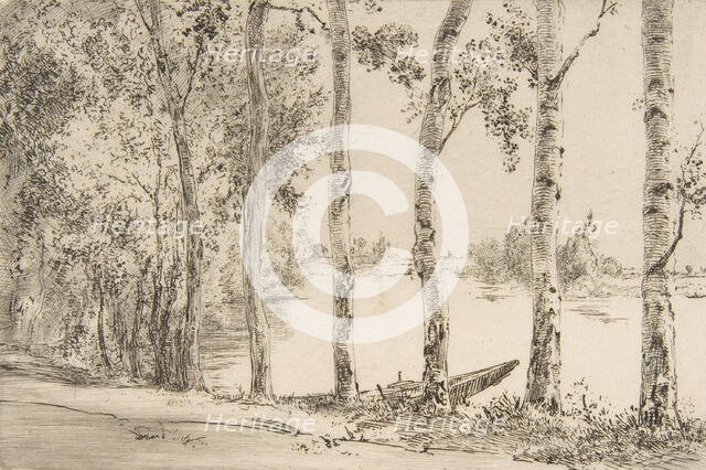 Trembles au bord de la Seine, ca. 1884. Creator: Felix Bracquemond.