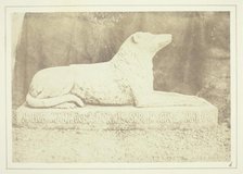 Effigy of Sir W. Scott's favourite dog Maida, by the side of the hall door at Abbotsford, 1844. Creator: William Henry Fox Talbot.