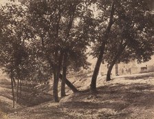 Trees, c. 1855. Creator: André Giroux.