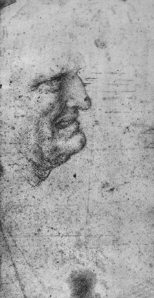 'Profile of a Man with Clenched Teeth', c1480 (1945). Artist: Leonardo da Vinci.