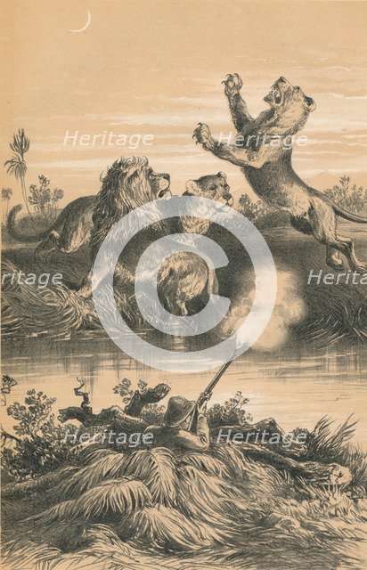 'Lion Hunting At Night', c1880. Artist: Unknown.