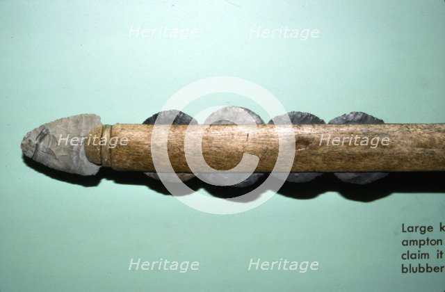 Large Knife from grave at Southampton Island, for cutting whale-blubber, Inuit. Artist: Unknown.