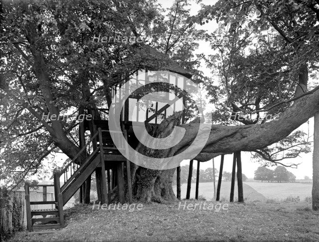 A half-timbered tree house, Pitchford Hall, Shropshire, 1959. Artist: GB Mason