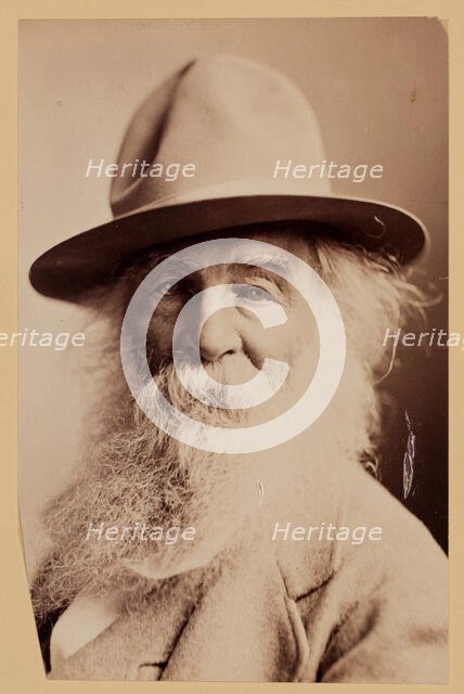 Walt Whitman, c1870s.  Creator: Napoleon Sarony.