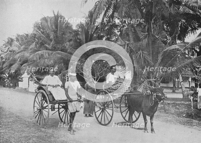 'Rickshaw and Racing Hackery', c1890, (1910). Artist: Alfred William Amandus Plate.