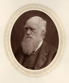 Portrait of Charles Darwin (1809-1882), 1877. Creator: Photo studio Lock & Whitfield (active 1856-1894).