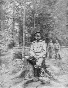 Tsar Nicholas II in exile, Tobolsk, Siberia, 13 August 1917. Artist: Unknown