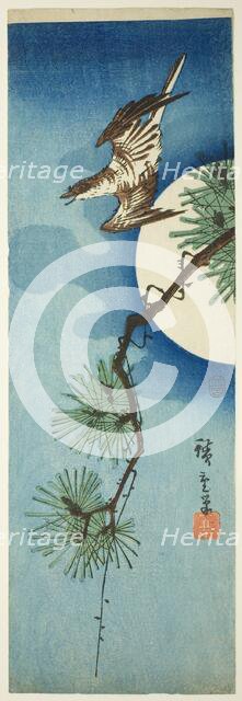 Cuckoo, pine branch, and full moon, c. 1843/47. Creator: Ando Hiroshige.