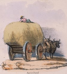 'Agricultural', c 1845. Artist: Robert Kent Thomas 