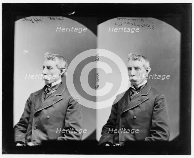 Dinismore, Hon. S.P. of N.Y. ?, between 1865 and 1880. Creator: Unknown.