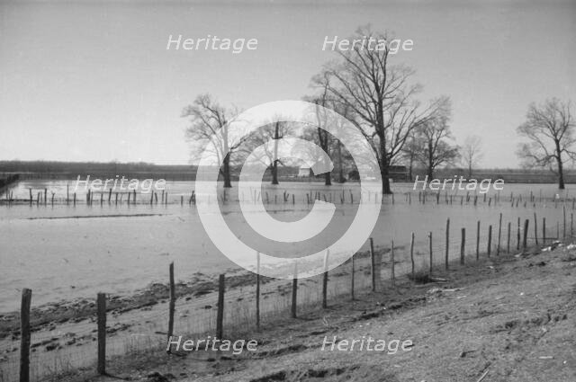 The Bessie Levee, along a subsid...Mississippi River, near Tiptonville, Tennessee, 1937. Creator: Walker Evans.