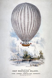 Hot air balloon ascending over Surrey Zoological Gardens, Southwark, London, 1838. Artist: Anon