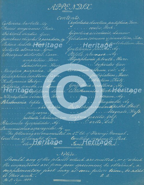 Appendix, ca. 1853. Creator: Anna Atkins.