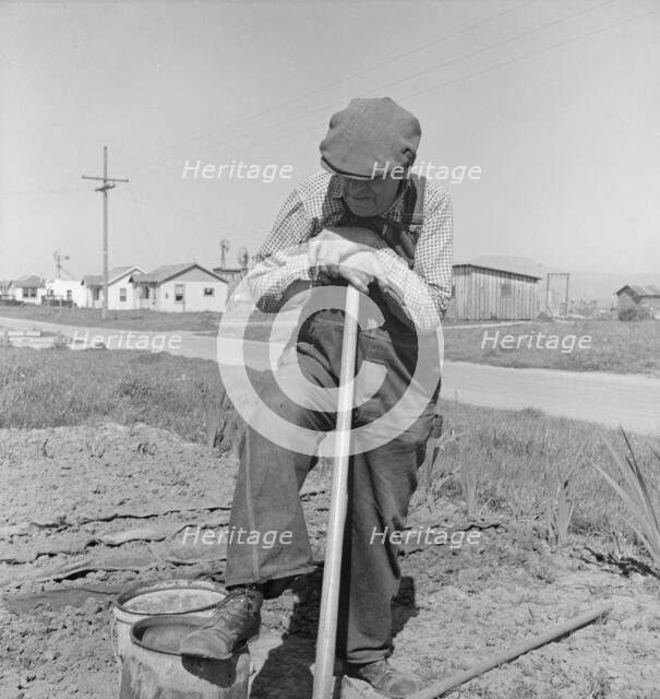 Farmer who has small plot...on outskirts of Salinas, CA, 1939. Creator: Dorothea Lange.