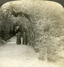 Bower of St Anthony, Vatican Gardens, Rome, Italy.Artist: Underwood & Underwood