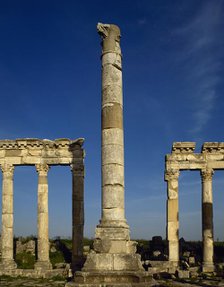 Monumental column and colonnade, Apamea, Syria, 2002. Creator: LTL.