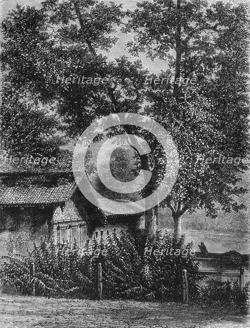 'View of the "House of Fakirs", Baroda', c1891. Creator: James Grant.